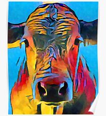 Cow Poster