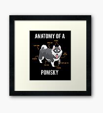 Anatomy of Pomsky Framed Print
