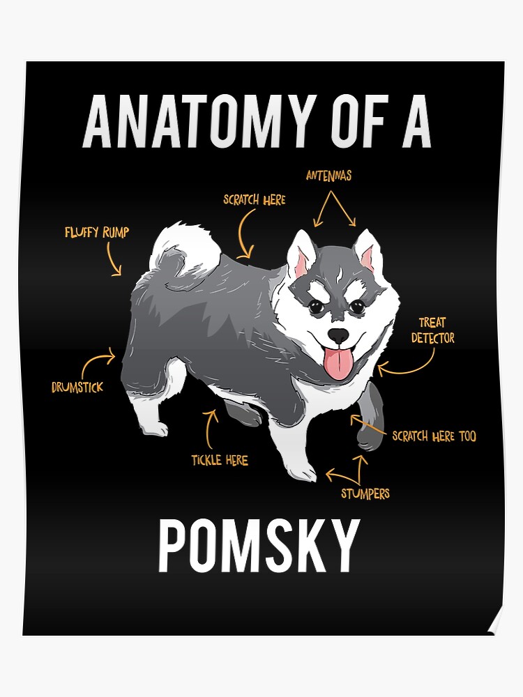 Pomsky Size Chart