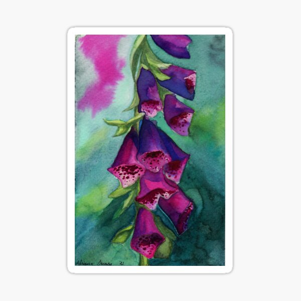 Aperçu de l'œuvre Digitales aquarelle créée et vendue par vanitas.illustrates.