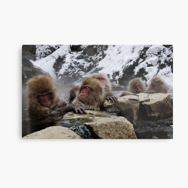 The Day Spa Gathering Metal Print