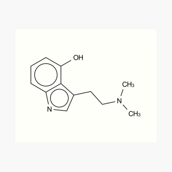 Aperçu de l'œuvre Psilocin Structure molé créée et vendue par Girih.