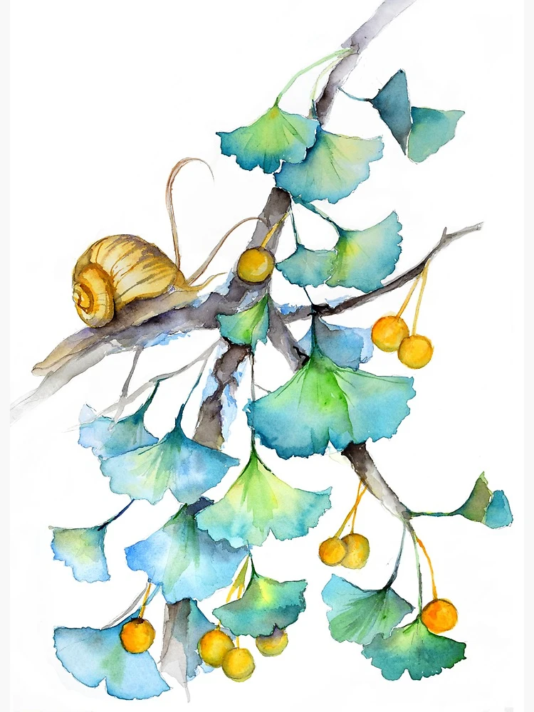 Ginkgo biloba watercolor sketch and trying new art supplies — Anna