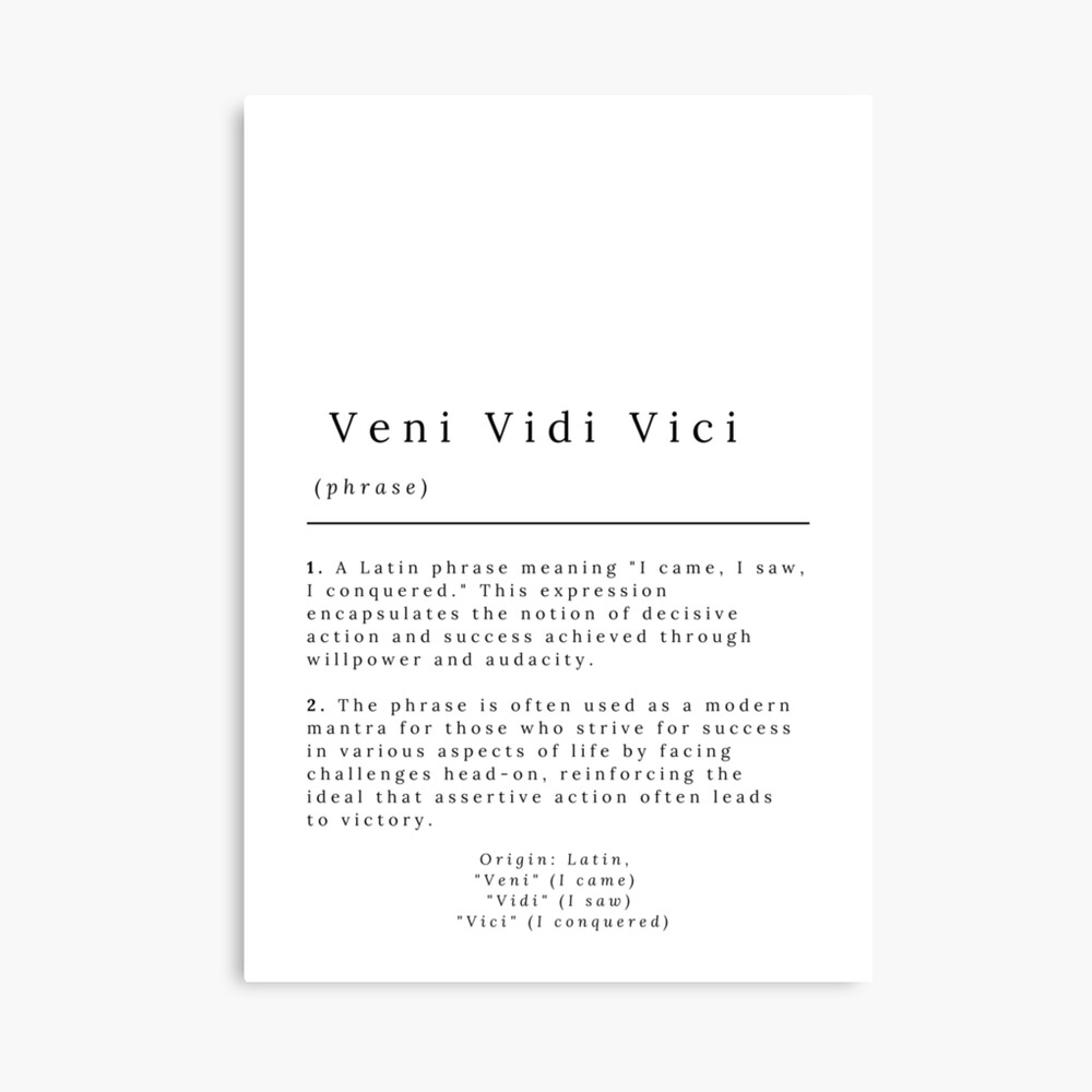 Veni vidi vici latin quote poster translation i Vector Image