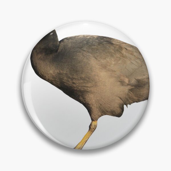 Item preview, Coot designed and sold by noahwastakenlol.