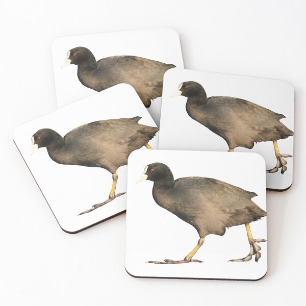 Item preview, Coot designed and sold by noahwastakenlol.