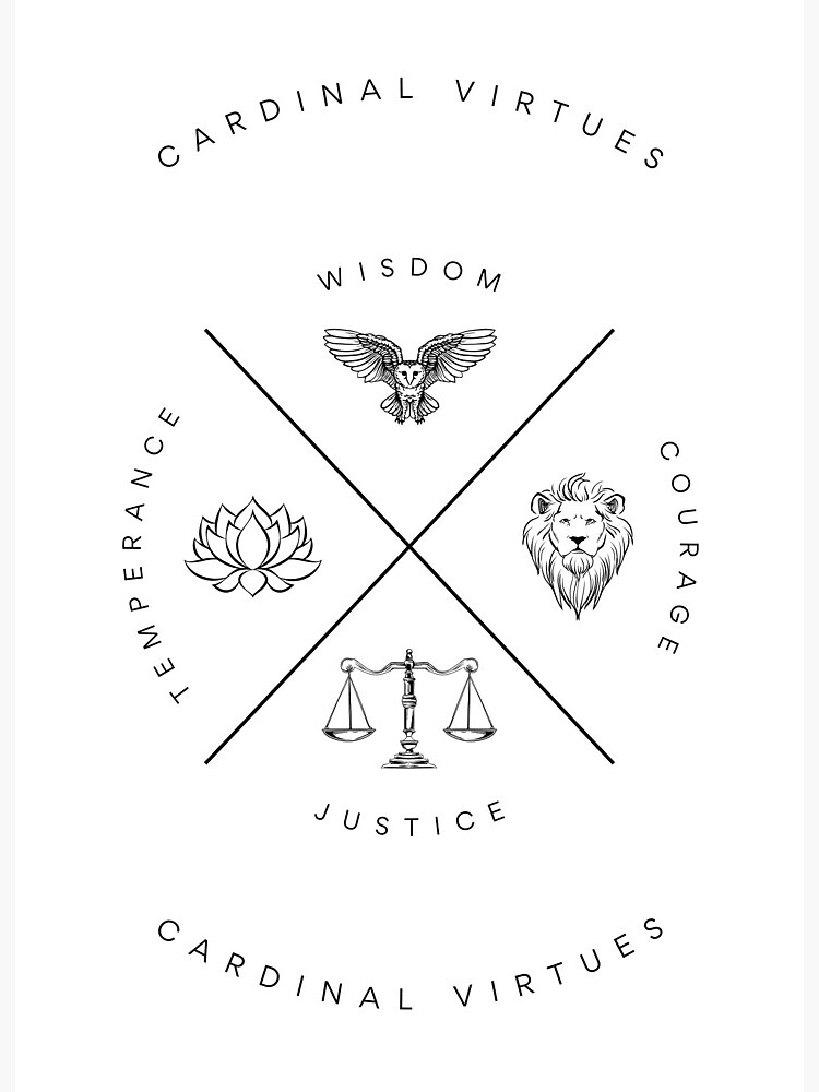 Virtues Signe Virtues Signe シリアル10番台 Virtues Signe シリアル