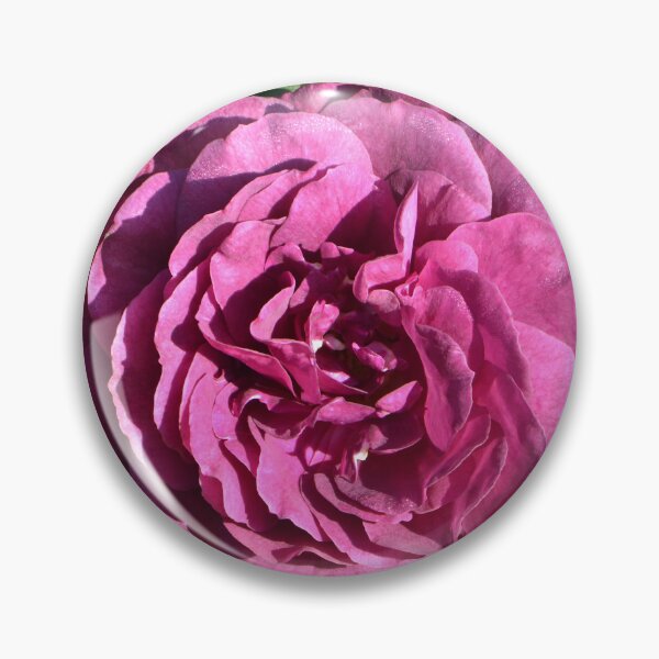 Item preview, Purple open rose designed and sold by jnorton772.