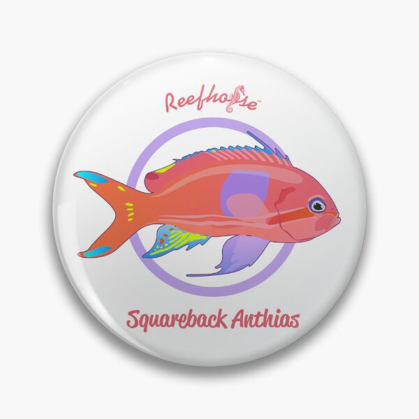 Item preview, Squareback Anthias designed and sold by KaplanCrypto.
