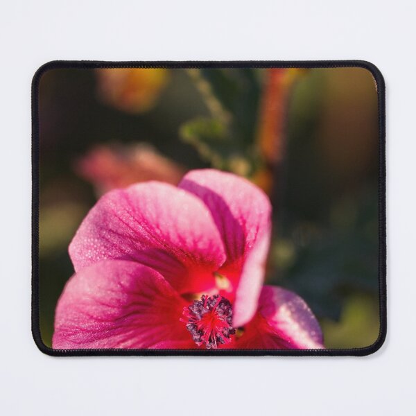 Item preview, Macros (69) designed and sold by Wolf Sverak Photography.