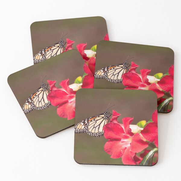 Item preview, Monarch butterfly on desert rose designed and sold by Zina Stromberg.