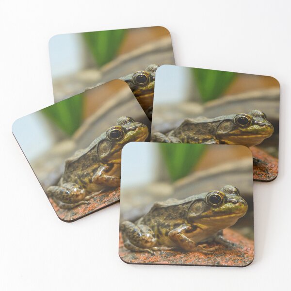 Item preview, Museum Frog  designed and sold by ECPhotos.