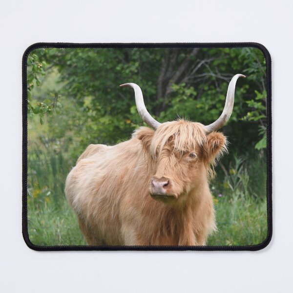 Item preview, Highland cow designed and sold by theartsyeq.
