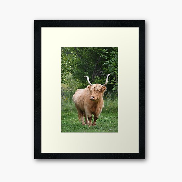 Item preview, Highland cow designed and sold by theartsyeq.