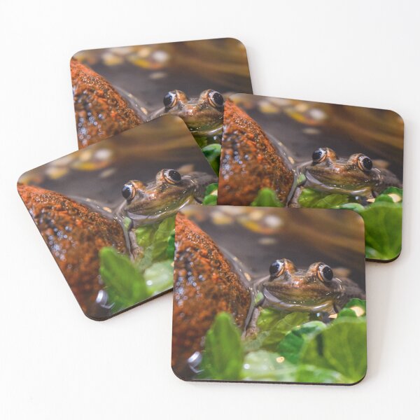 Item preview, Relaxing in the Pond designed and sold by ECPhotos.