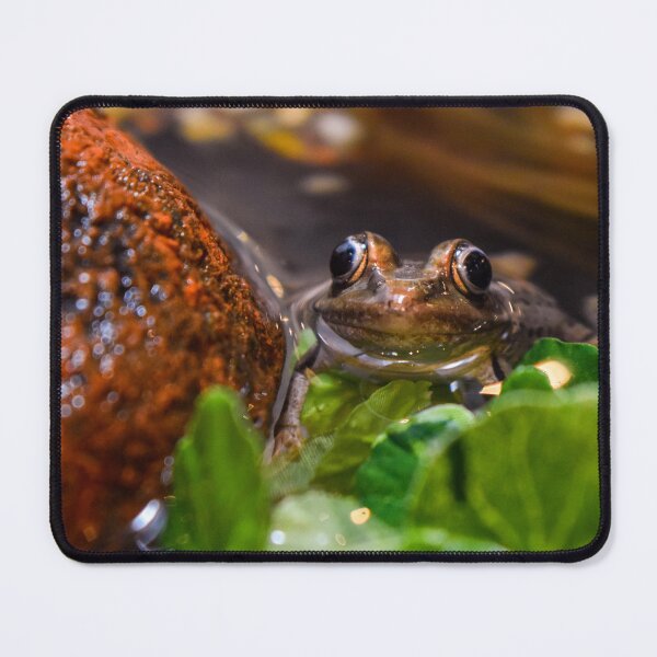 Item preview, Relaxing in the Pond designed and sold by ECPhotos.
