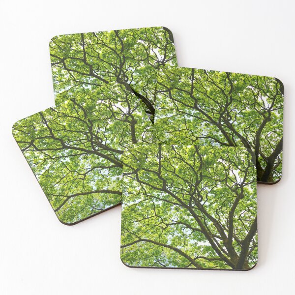 Item preview, Trees in the Park designed and sold by Mandy Collins.