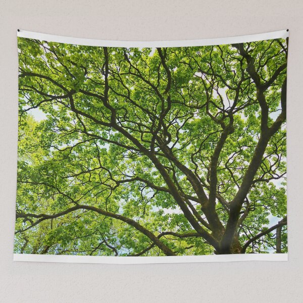 Item preview, Trees in the Park designed and sold by Mandy Collins.
