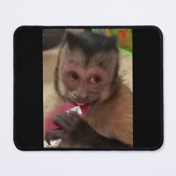 Item preview, flirty monkey designed and sold by IreneCRCO.