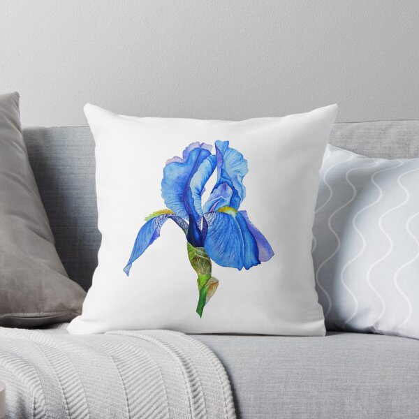 Body Pillow blue iris isolated on white background 