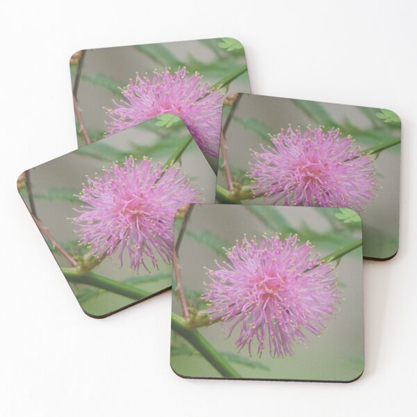 Item preview, Pink wildflower on the trail designed and sold by Jmb67.