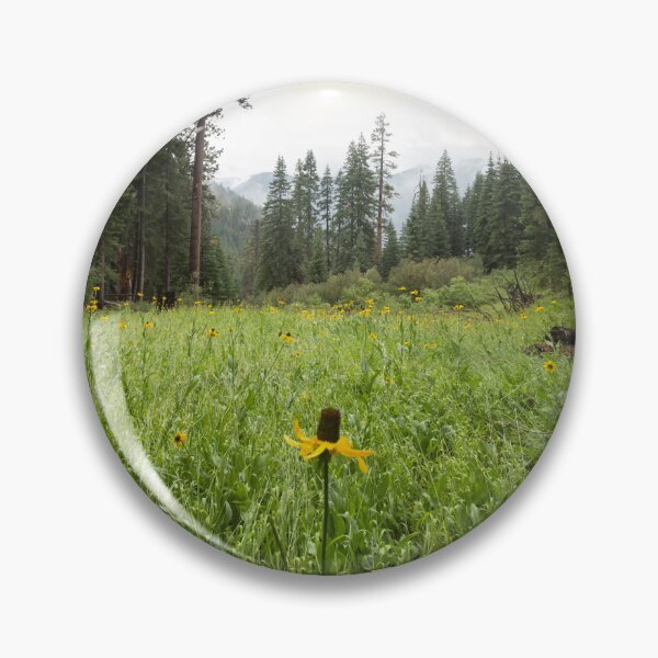 Item preview, Meadow of Black-Eyed Susan flowers somewhere in Kings Canyon designed and sold by Victoria Avvacumova.