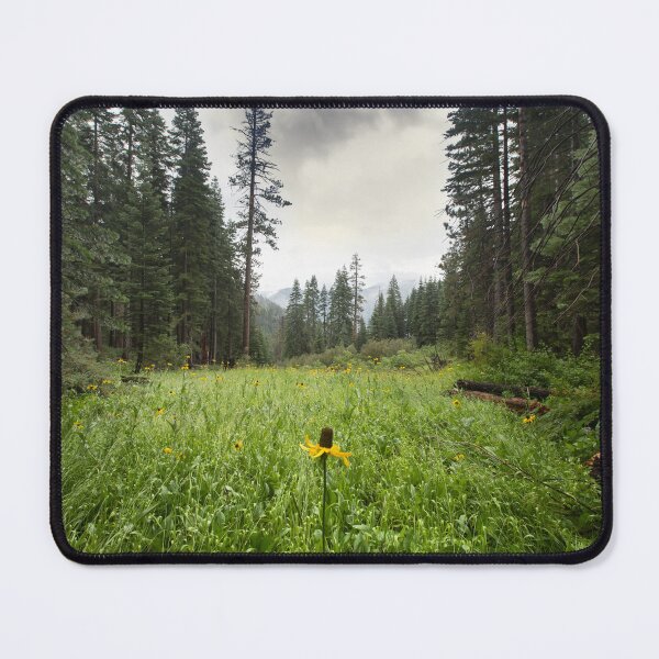 Item preview, Meadow of Black-Eyed Susan flowers somewhere in Kings Canyon designed and sold by Victoria Avvacumova.