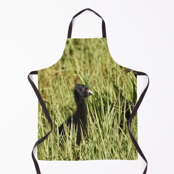 Item preview, Starting life a young swamp hen :) designed and sold by Mark Grimsley.