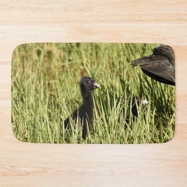 Item preview, Starting life a young swamp hen :) designed and sold by Mark Grimsley.