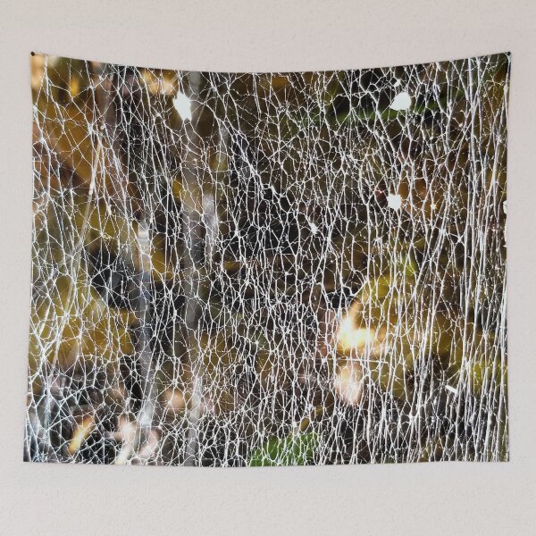 Item preview, Dense Spiderwebs designed and sold by bjtomiko.