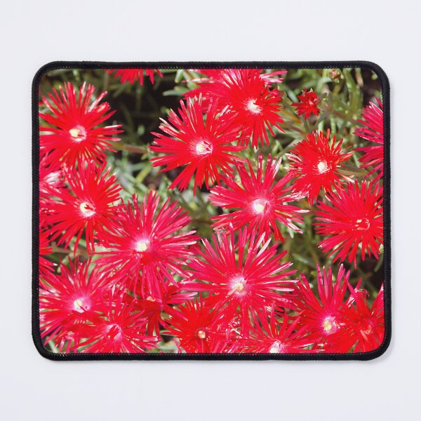 Item preview, Vibrant Bright Red Ice Plant Flowers designed and sold by IPPhotography.