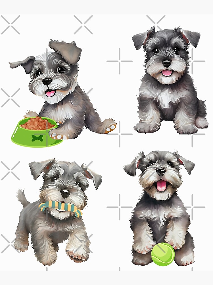 Miniature Schnauzers