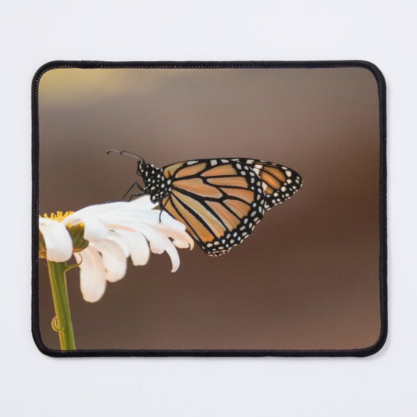 Item preview, Perfect Monarch Days designed and sold by Ruth Jolly.