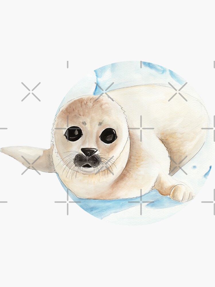 Baby seal in watercolor by nobelbunt