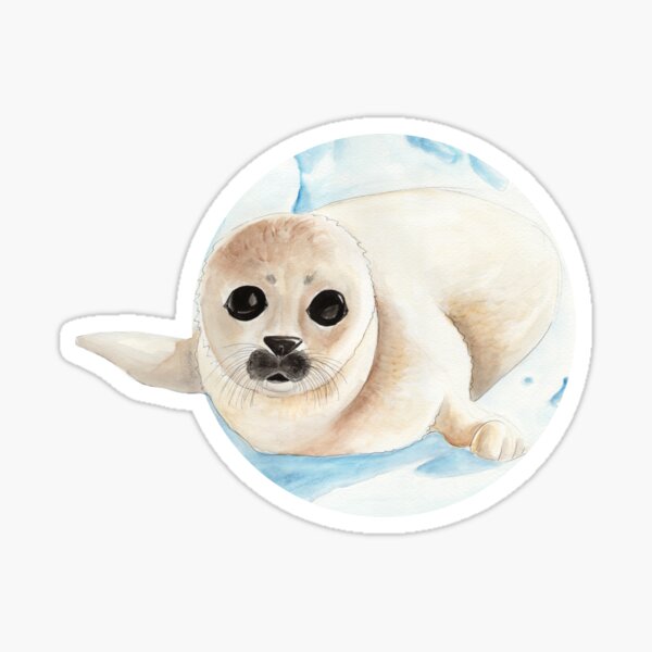 Baby seal in watercolor Sticker