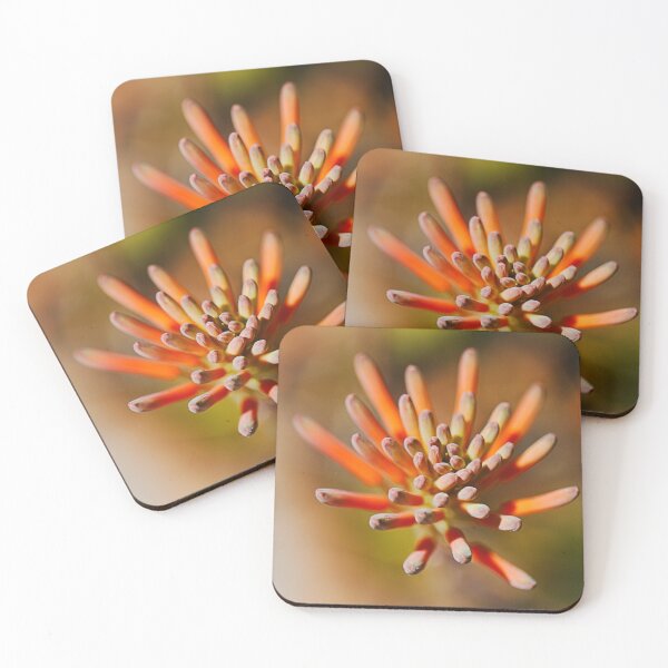 Item preview, Succulent Flowers In Orange designed and sold by Joy Watson - Natural Light Photography .