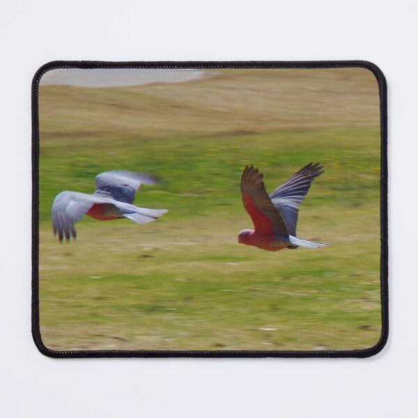 Item preview, Flying Galahs designed and sold by lezvee.