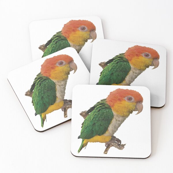 Item preview, The orange-headed caique designed and sold by obscurite.