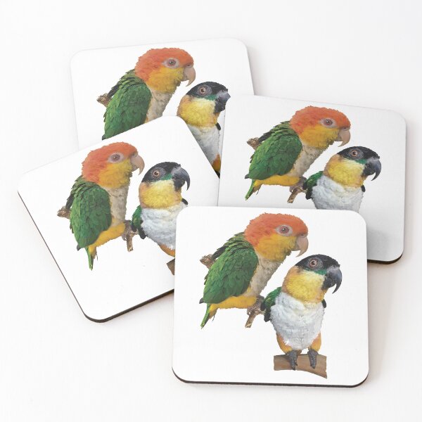 Item preview, The orange-headed caique designed and sold by obscurite.