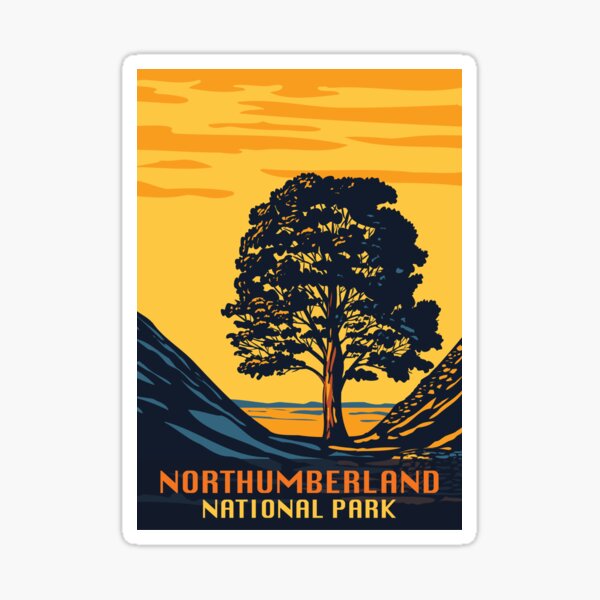 Item preview, Northumberland National Park Sycamore Gap Tree designed and sold by NessiCreates.