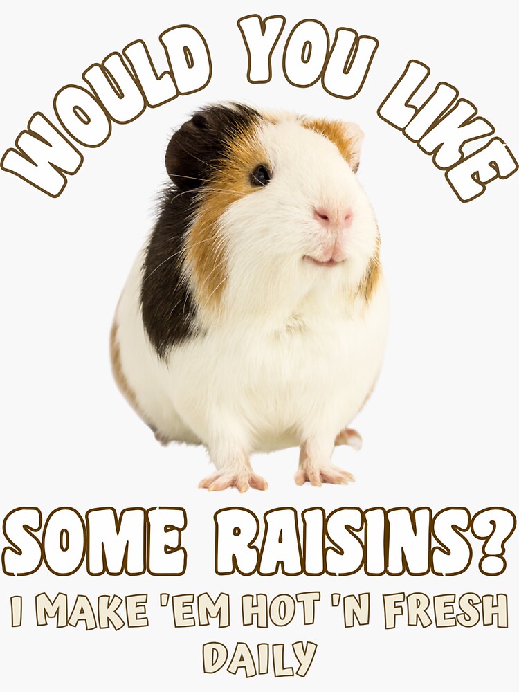 Would You Like Some Raisins Funny Guinea Pig Sticker