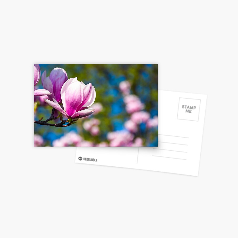 Item preview, Postcard designed and sold by mike-pellinni.