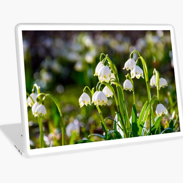Beautiful blooming of White spring Snowflake Laptop Skin