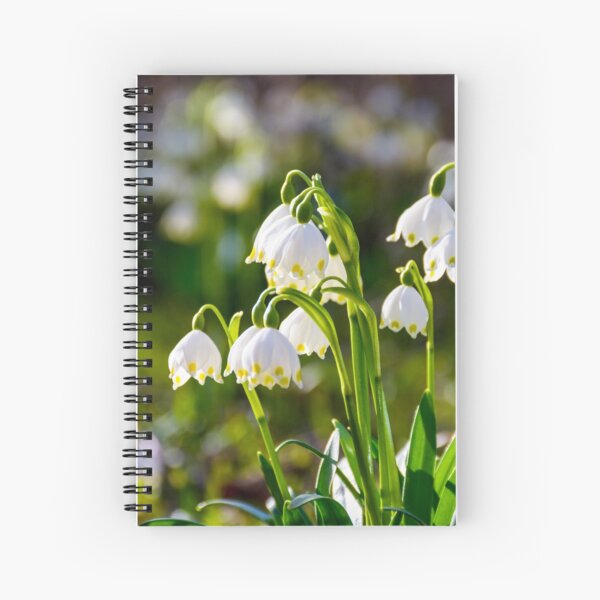 Beautiful blooming of White spring Snowflake Spiral Notebook
