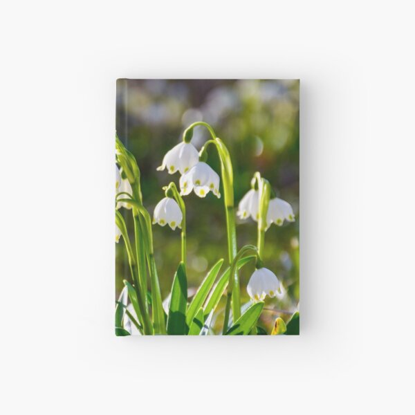 Beautiful blooming of White spring Snowflake Hardcover Journal
