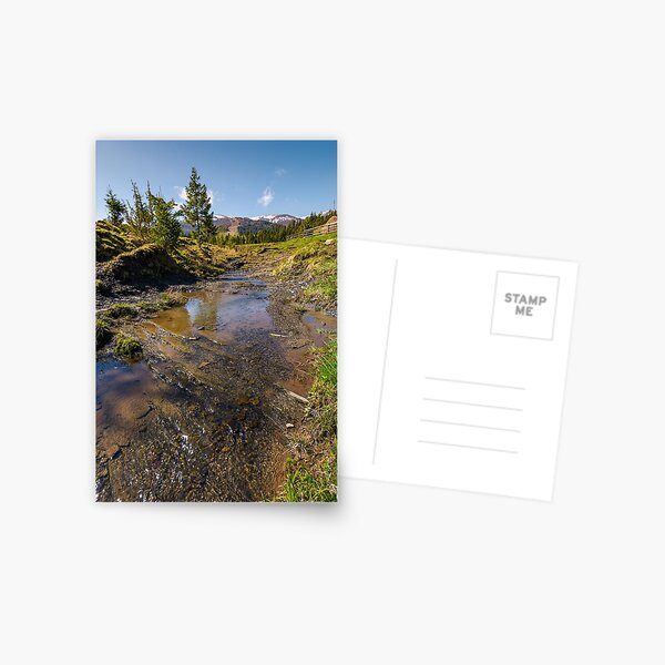 rural scenery in Ukrainian alps Postcard