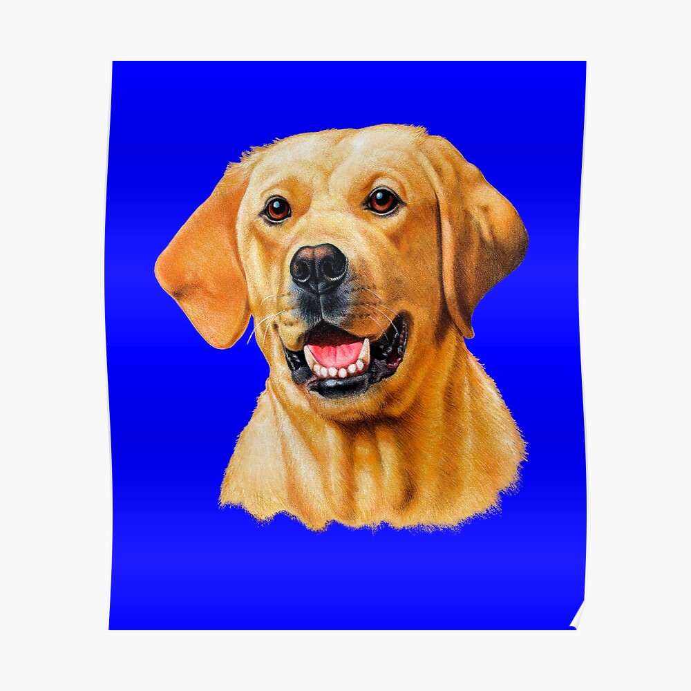 Download Yellow Labrador Full Face Image Mask By Fantasticdesign Redbubble Yellowimages Mockups