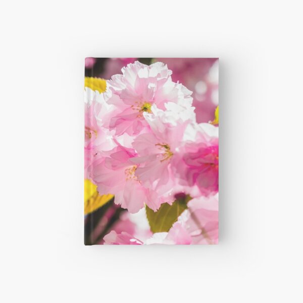 Sakura flower blossom in springtime Hardcover Journal
