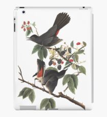 Grauer Catbird - Audubon Vögel von Amerika, Dumetella carolinensis iPad-Hülle & Klebefolie