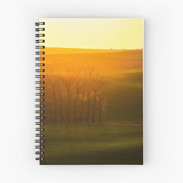 Item preview, Moravia, Czech Republic designed and sold by RYSZARD LOMNICKI.